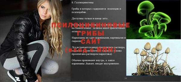 меф Приозерск