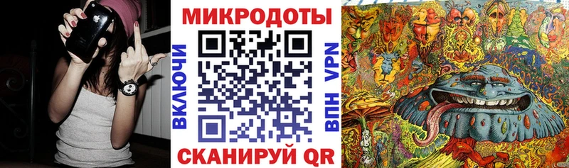 Псилоцибиновые грибы Psilocybe  Бугуруслан 